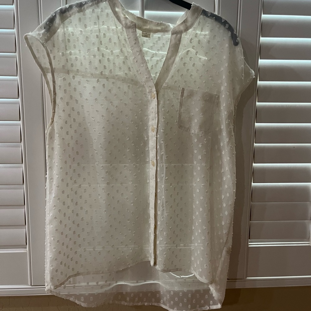 Sheer White Polka Dot Blouse